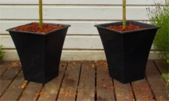 Pair Of Standard Topiary Trees 'Salix Flamingo' With Large Flared Decorative Planters 10 Pair Of Standard Topiary Trees 'Salix Flamingo' With Large Flared Decorative Planters -Outlet Plant Store black planters1000x600 5